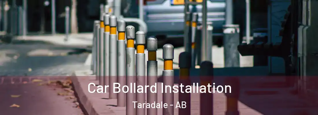  Car Bollard Installation Taradale - AB