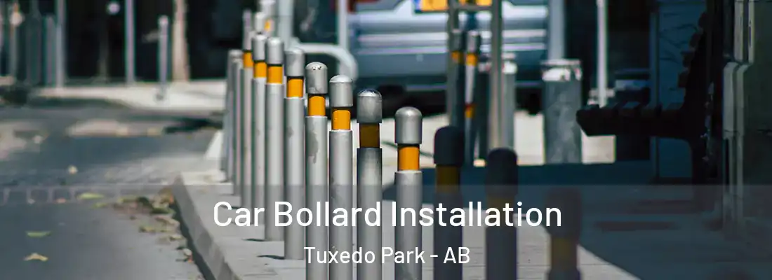  Car Bollard Installation Tuxedo Park - AB