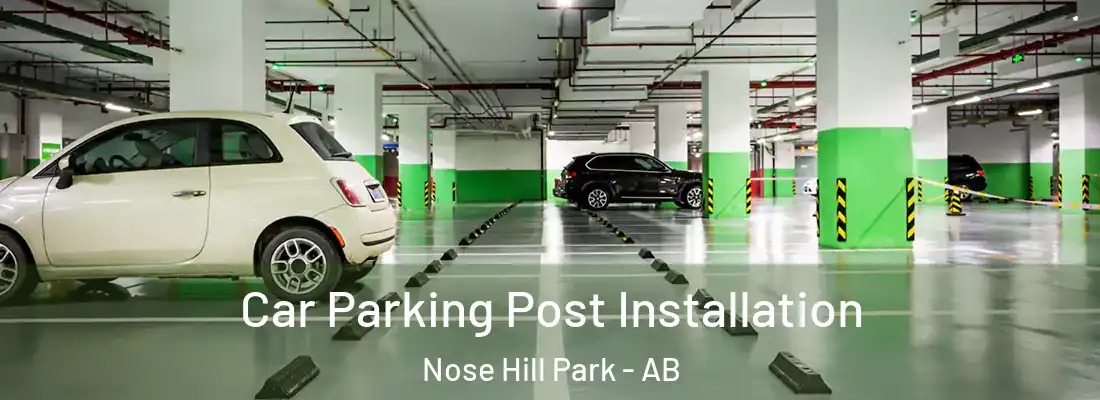  Car Parking Post Installation Nose Hill Park - AB