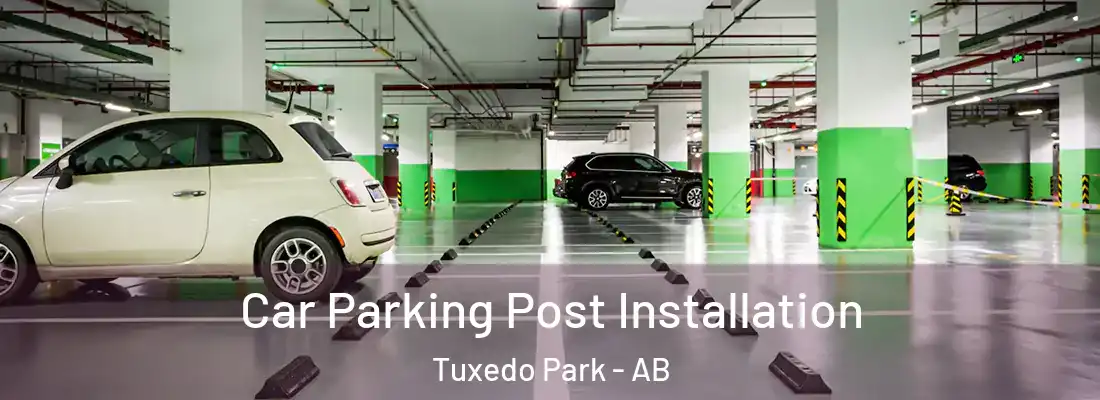  Car Parking Post Installation Tuxedo Park - AB