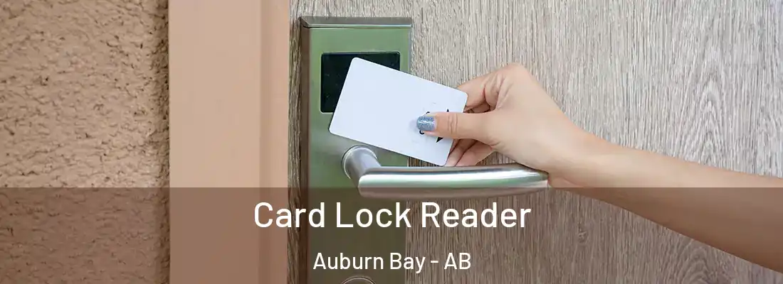  Card Lock Reader Auburn Bay - AB