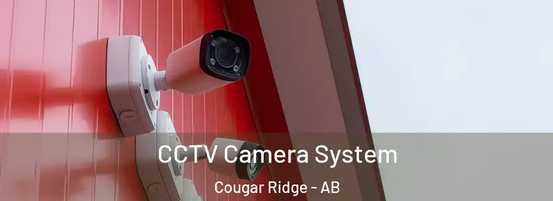  CCTV Camera System Cougar Ridge - AB