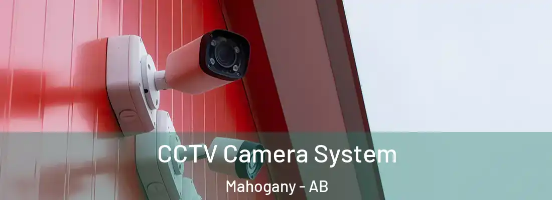  CCTV Camera System Mahogany - AB