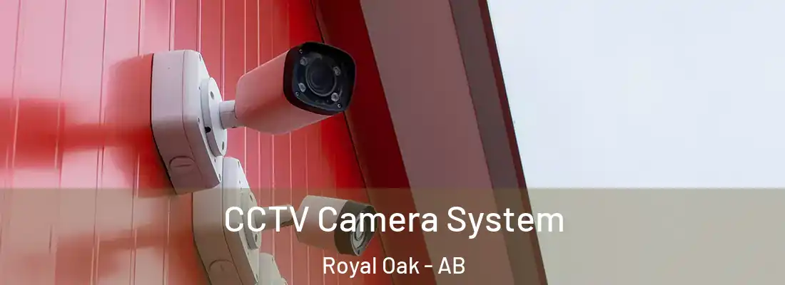  CCTV Camera System Royal Oak - AB