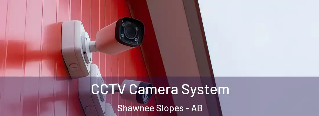  CCTV Camera System Shawnee Slopes - AB