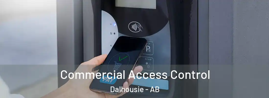  Commercial Access Control Dalhousie - AB