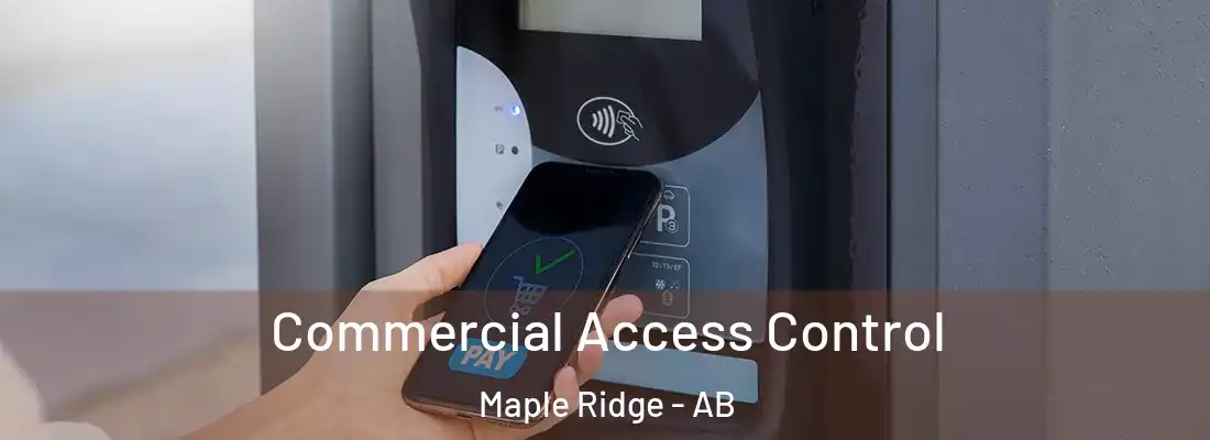  Commercial Access Control Maple Ridge - AB