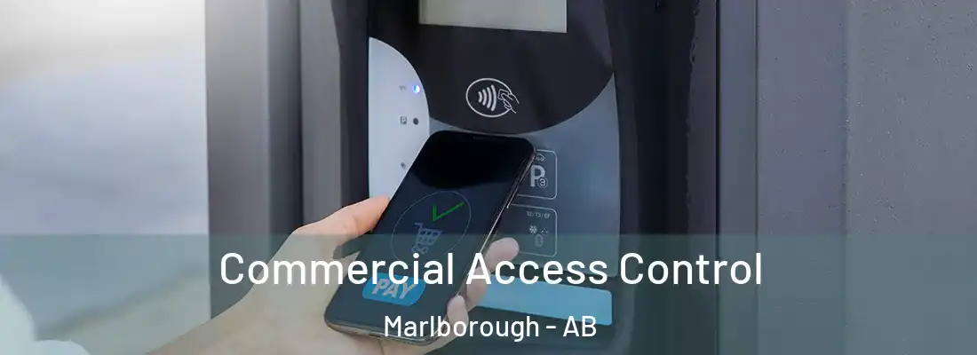  Commercial Access Control Marlborough - AB