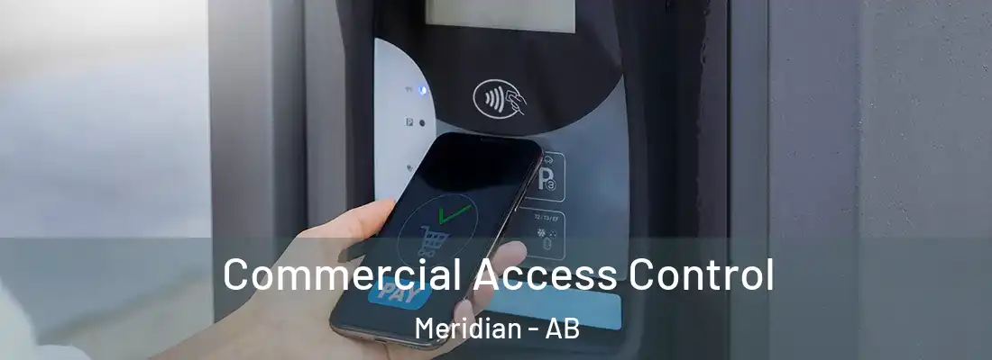  Commercial Access Control Meridian - AB