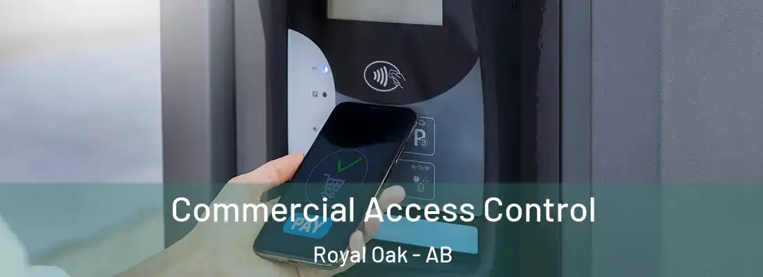  Commercial Access Control Royal Oak - AB