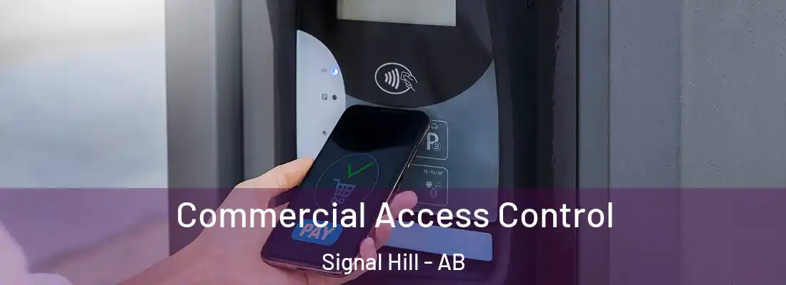  Commercial Access Control Signal Hill - AB