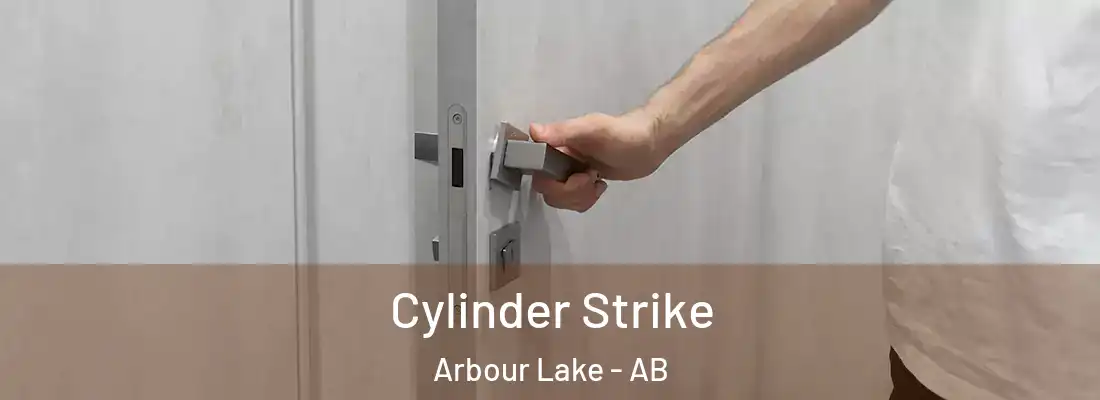  Cylinder Strike Arbour Lake - AB