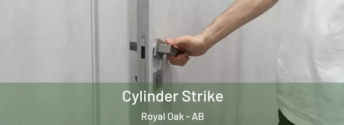  Cylinder Strike Royal Oak - AB