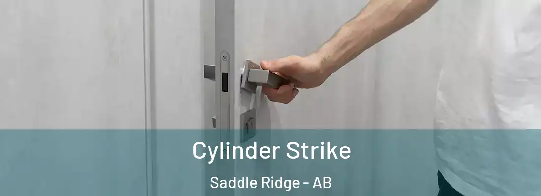  Cylinder Strike Saddle Ridge - AB