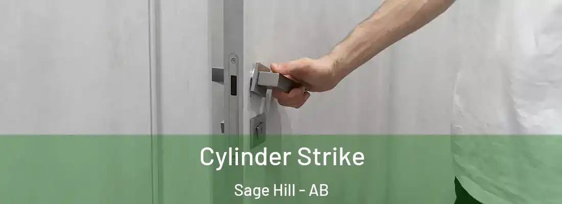  Cylinder Strike Sage Hill - AB