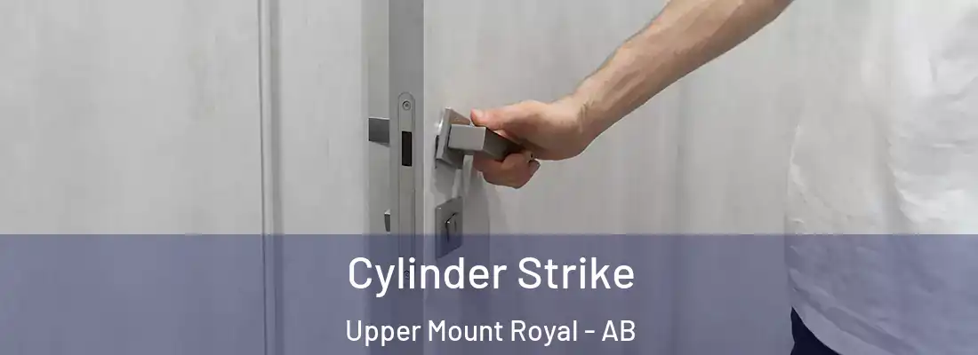  Cylinder Strike Upper Mount Royal - AB