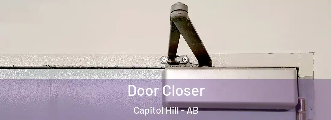  Door Closer Capitol Hill - AB
