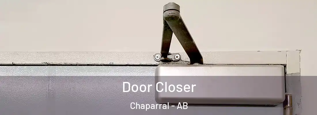  Door Closer Chaparral - AB