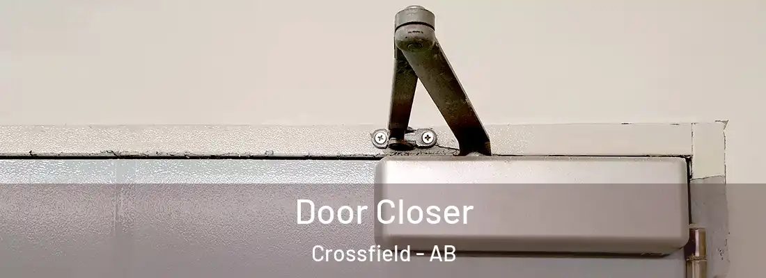  Door Closer Crossfield - AB