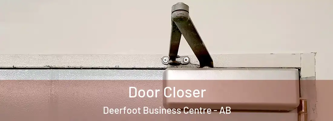  Door Closer Deerfoot Business Centre - AB