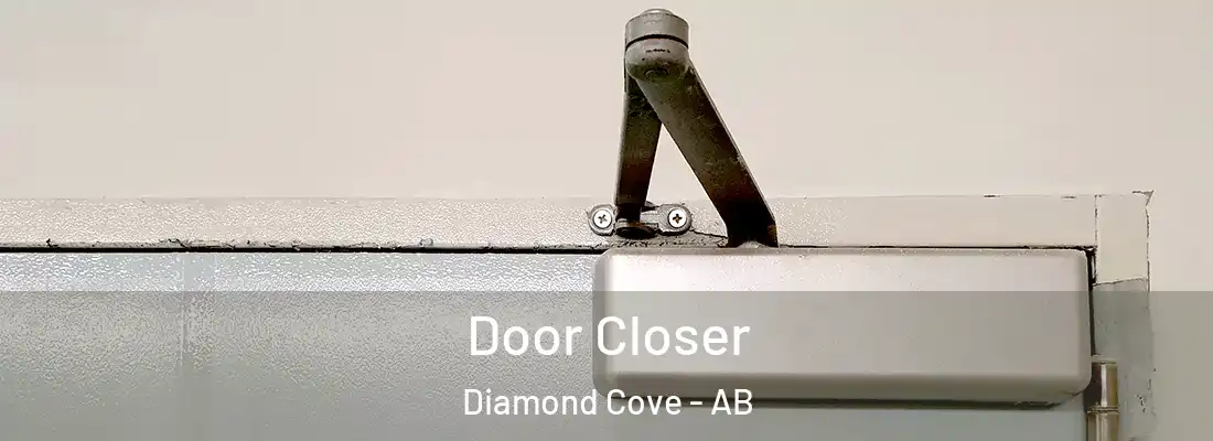  Door Closer Diamond Cove - AB