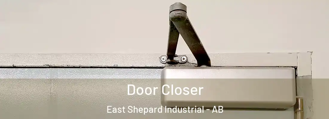  Door Closer East Shepard Industrial - AB