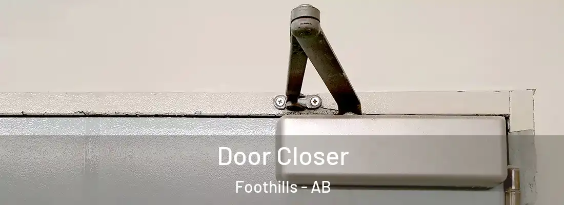  Door Closer Foothills - AB