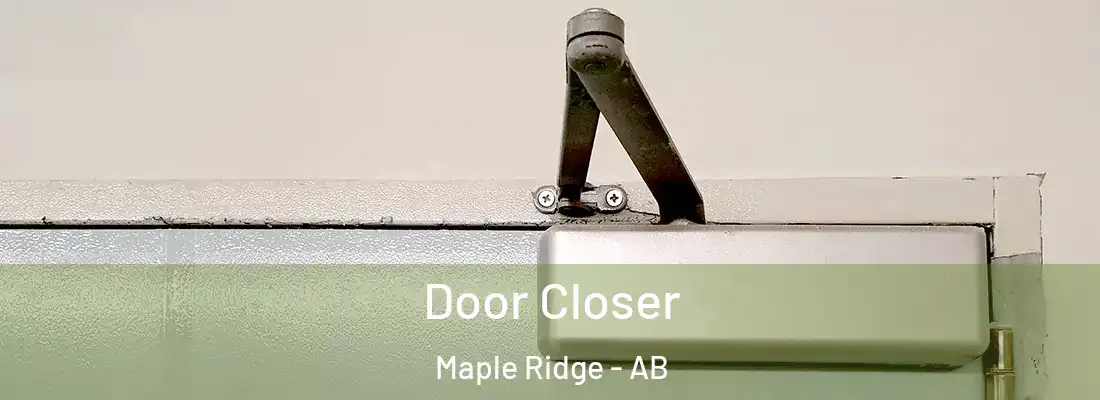  Door Closer Maple Ridge - AB