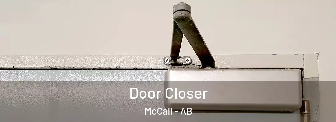  Door Closer McCall - AB