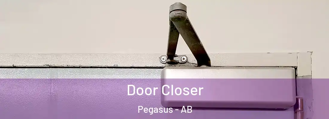  Door Closer Pegasus - AB