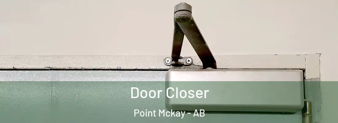  Door Closer Point Mckay - AB
