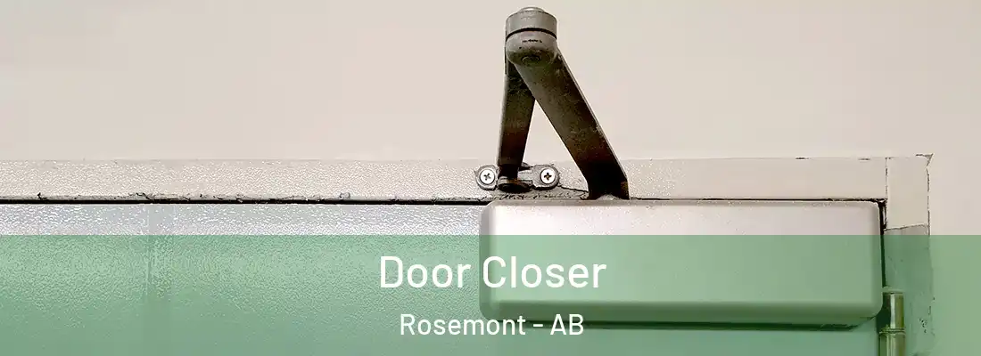  Door Closer Rosemont - AB
