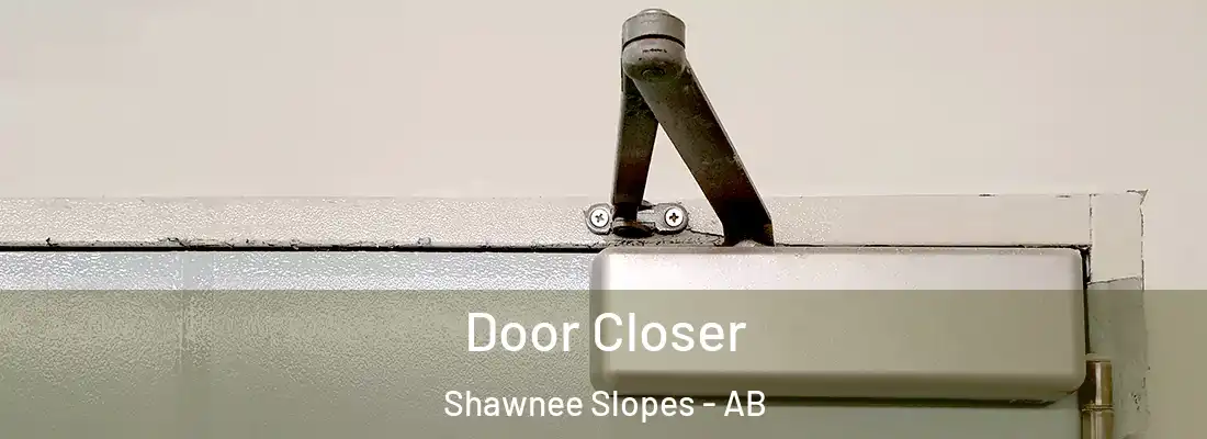  Door Closer Shawnee Slopes - AB