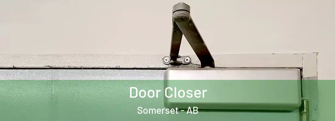  Door Closer Somerset - AB