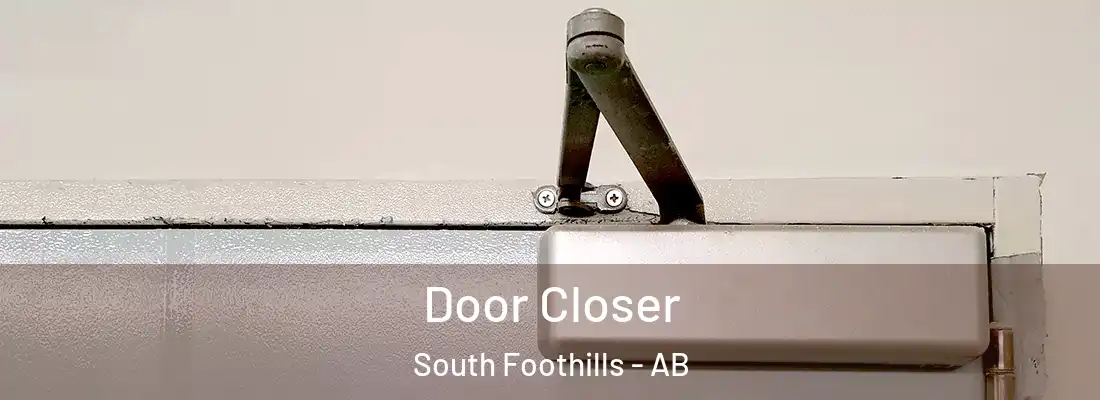  Door Closer South Foothills - AB