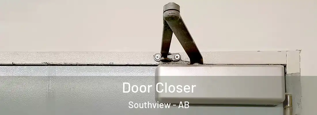  Door Closer Southview - AB