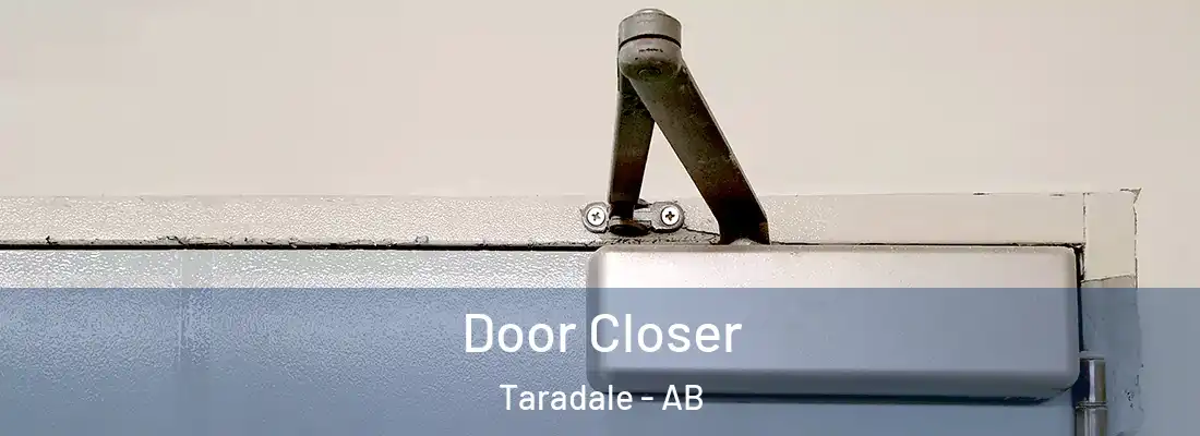  Door Closer Taradale - AB