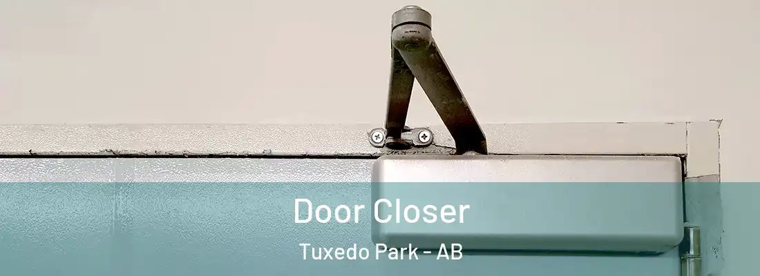  Door Closer Tuxedo Park - AB