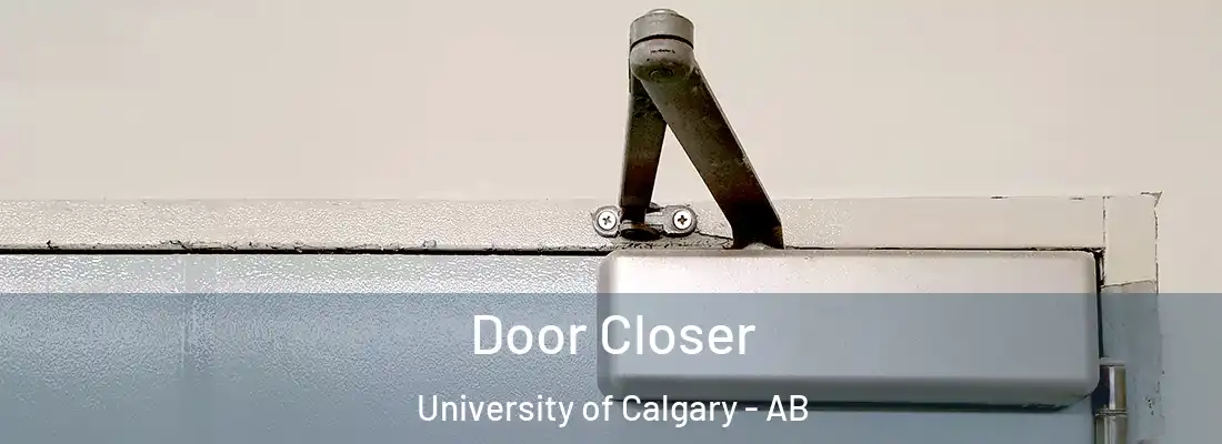  Door Closer University of Calgary - AB