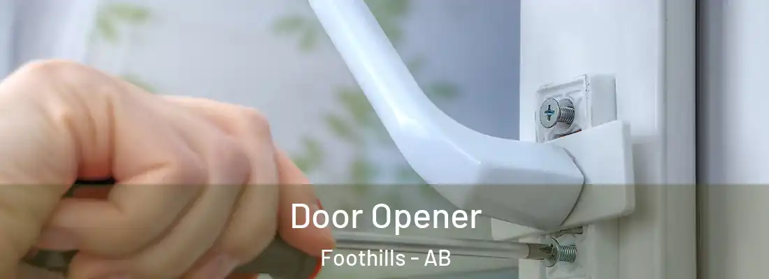  Door Opener Foothills - AB