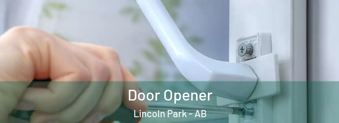 Door Opener Lincoln Park - AB