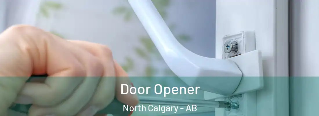 Door Opener North Calgary - AB