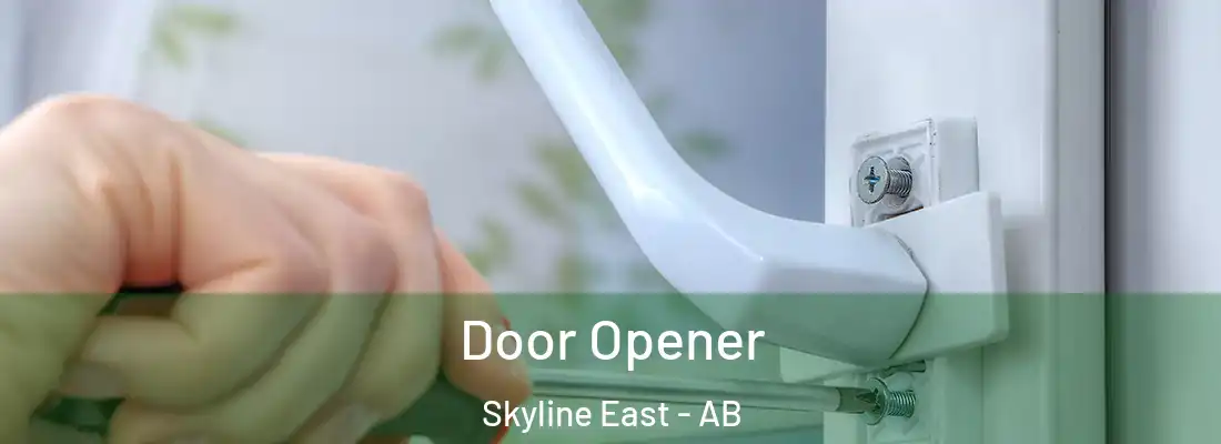  Door Opener Skyline East - AB