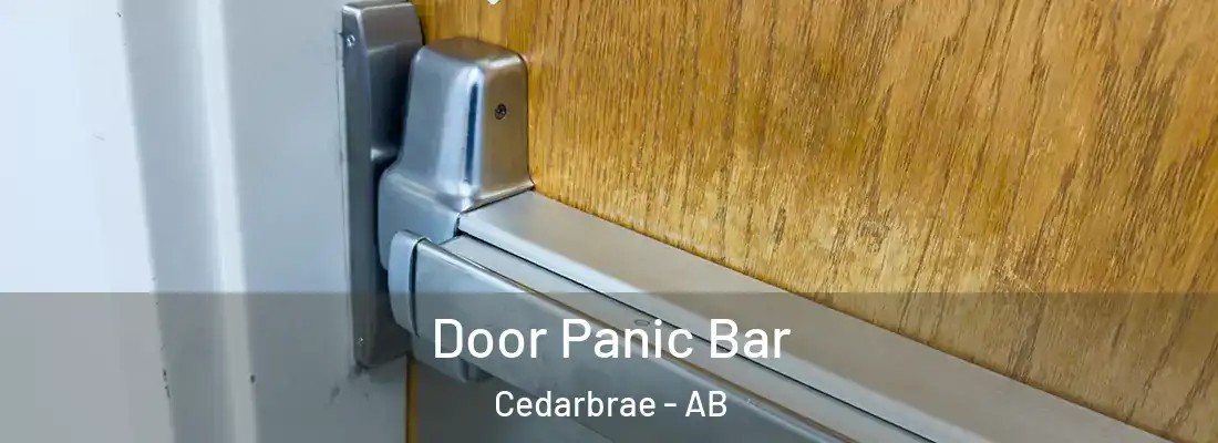  Door Panic Bar Cedarbrae - AB