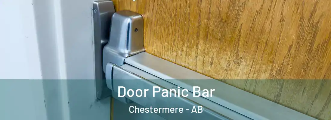  Door Panic Bar Chestermere - AB