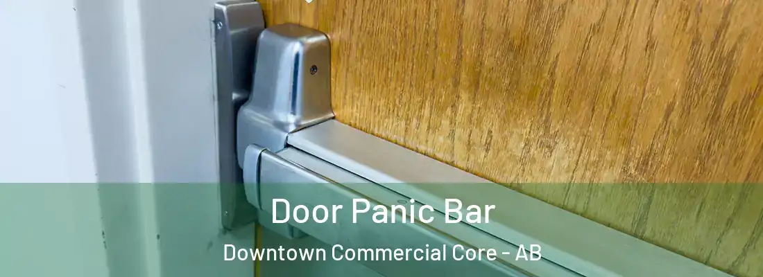  Door Panic Bar Downtown Commercial Core - AB