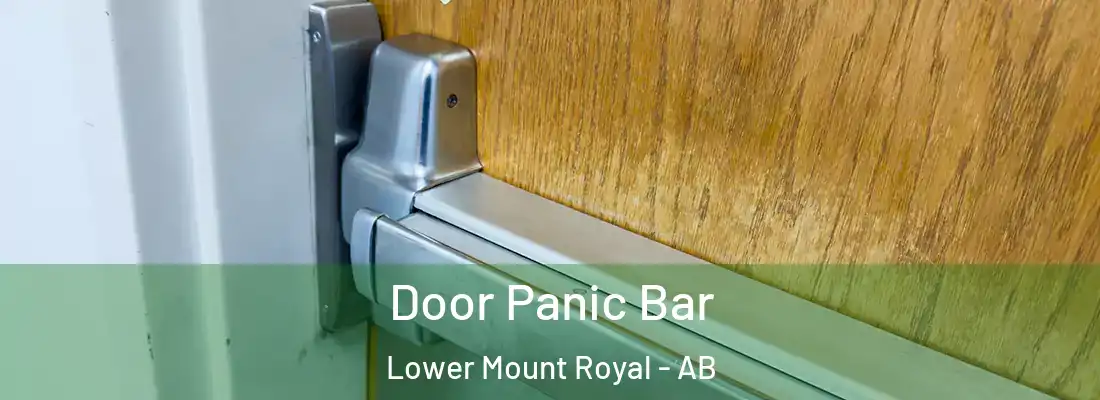  Door Panic Bar Lower Mount Royal - AB