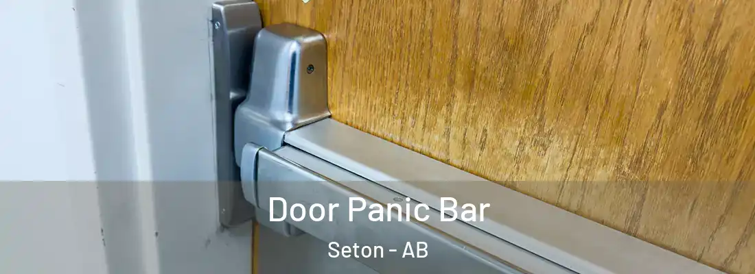  Door Panic Bar Seton - AB