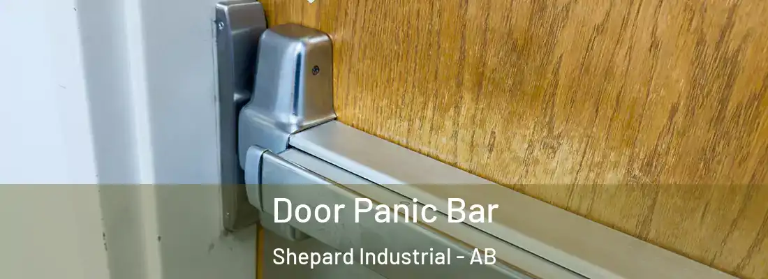  Door Panic Bar Shepard Industrial - AB