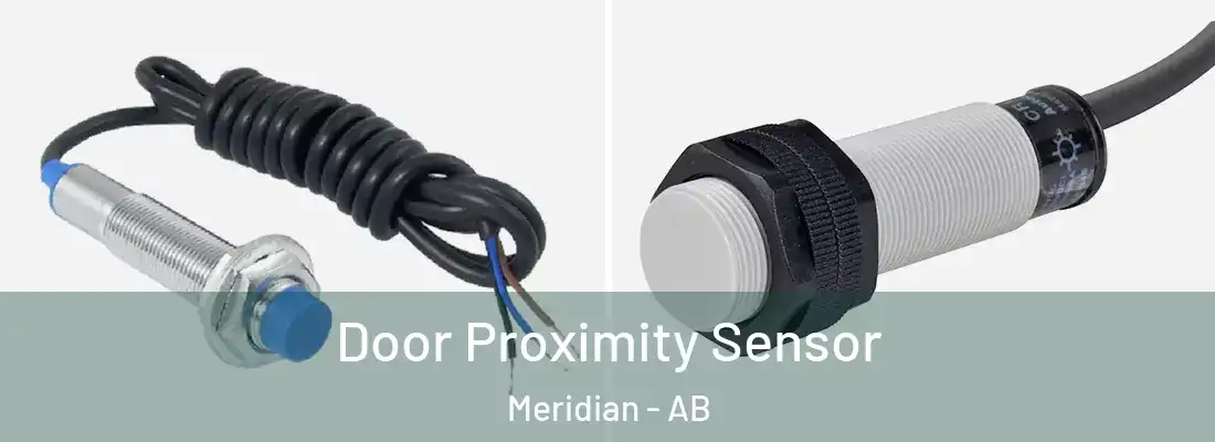  Door Proximity Sensor Meridian - AB